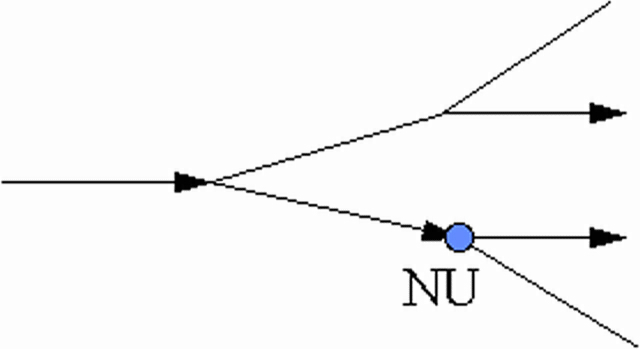 Forgrenet tid efter Ockham-modellen, som indebærer, at der er at forestillingen om 'fremtiden' forstået som et bestemt (men for os ukendt) forløb giver mening.